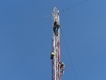 BobMick02.jpg
