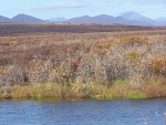 SnakeRiver01.jpg