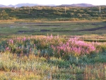 res1485263198.jpg