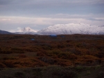 res443879463.jpg
