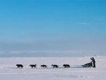 res_803813470.jpg