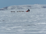 musher02.jpg