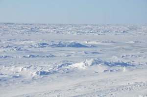 Frozen Bering Sea 