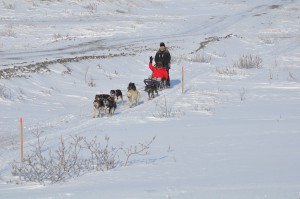 Paul Trimble in Sled  