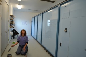 Phasor Building update.    